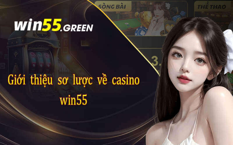 Giới thiệu sơ lược về casino win55